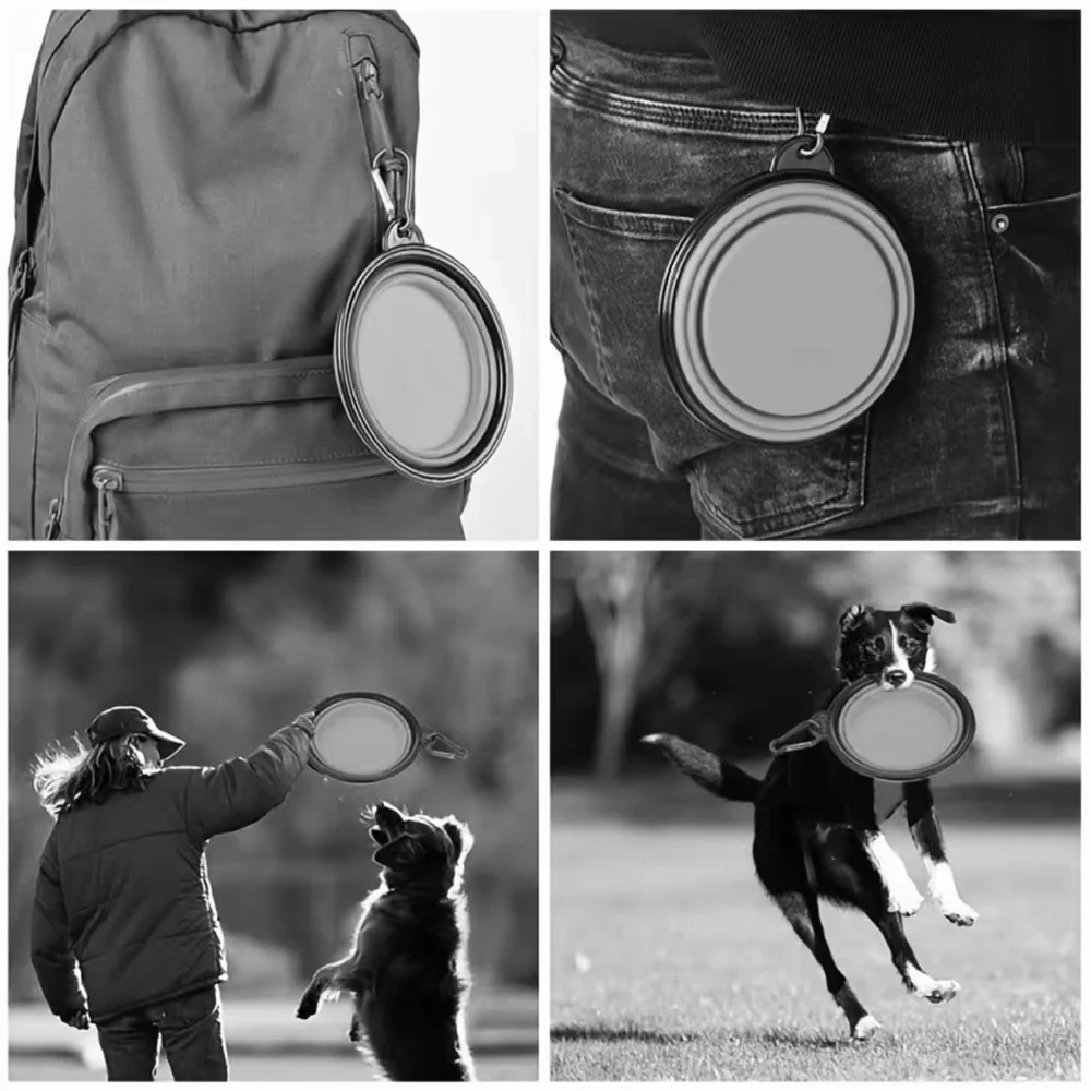 BNIB - Portable Pet Bowl